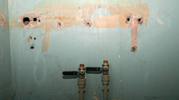 Trusted Sac City, IA Water damage restoration Experts